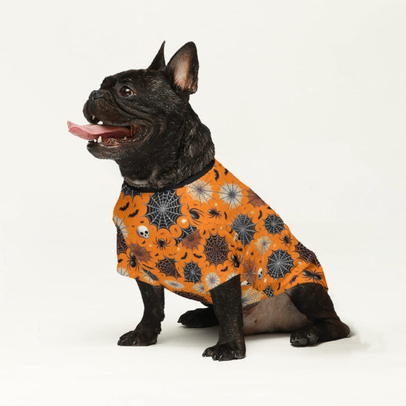 French Bulldog Morty Wool Sweater For Frenchies Warm Dog Outfit