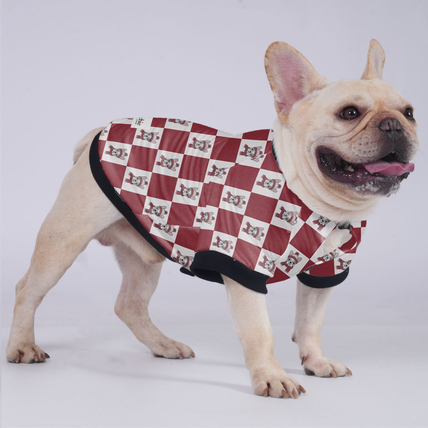 French Bulldog Winston Jacket For French Bulldog Soft Pet Apparel