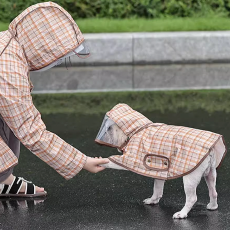 Cozy High-Quality Pawdry Premium Frenchie Rain Jacket for Casual Outings