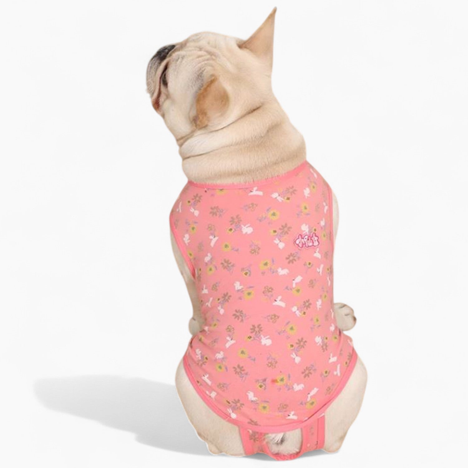 French Bulldog Lover Pawjoy French Bulldog Physiological Pants – Cute