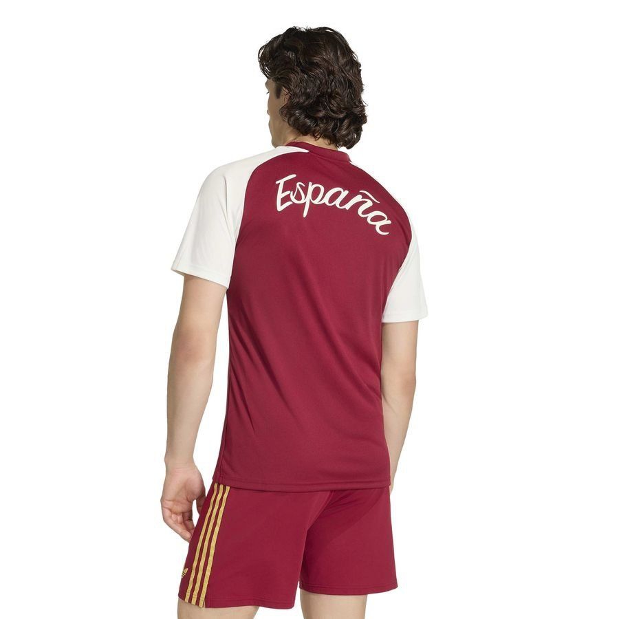 [EFKS] 2026 Spain Pre Match World Cup Collegiate Training Away Burgundy Jersey T