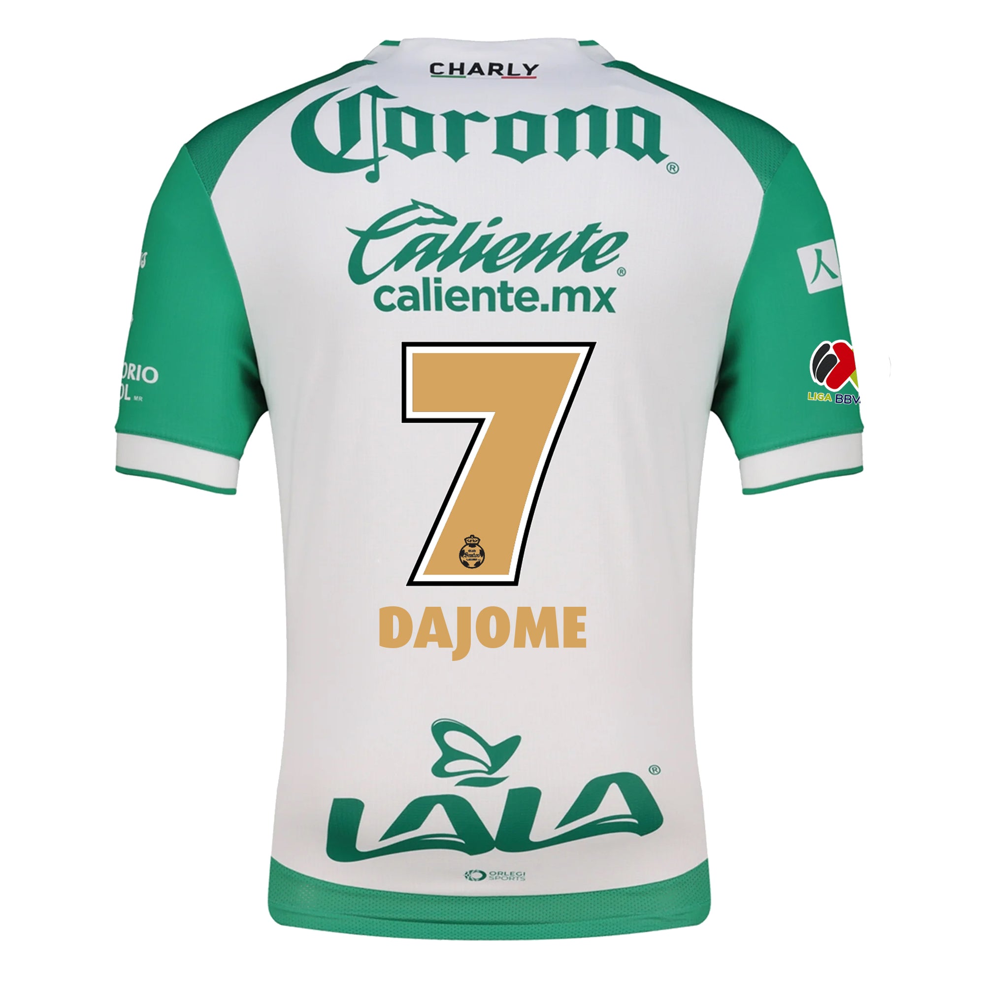 Santos Laguna Laguna 2025-2026 UCL Home Jersey – Authentic Shirt