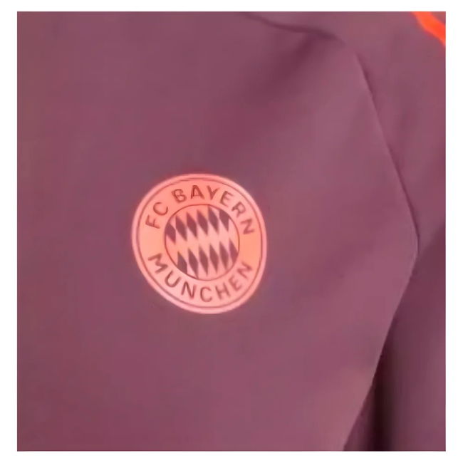 Classic Bayern Munich Jersey 2024-2025 #95