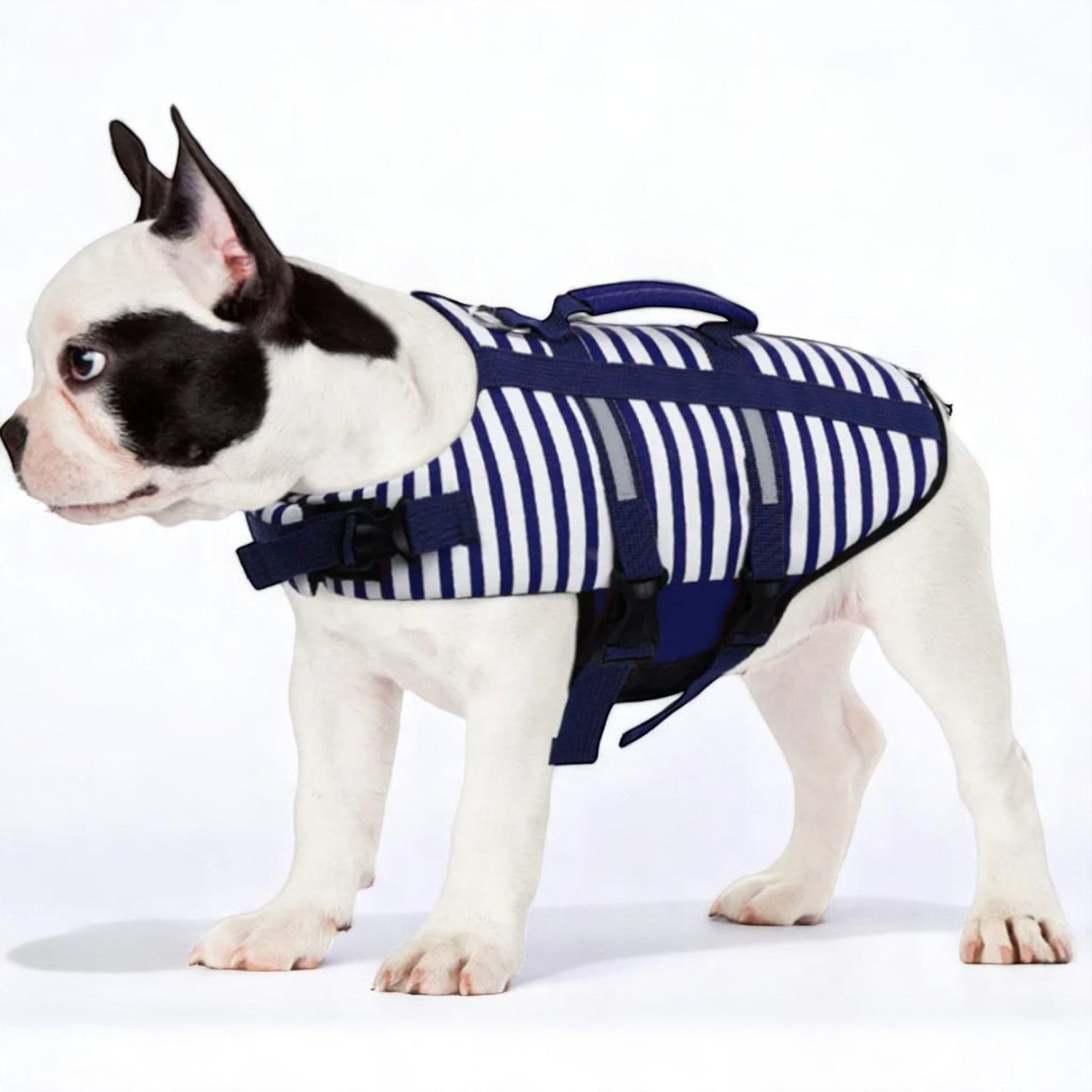 Everyday French Bulldog Swim Jacket – Reflective Strips Floatation Ve...