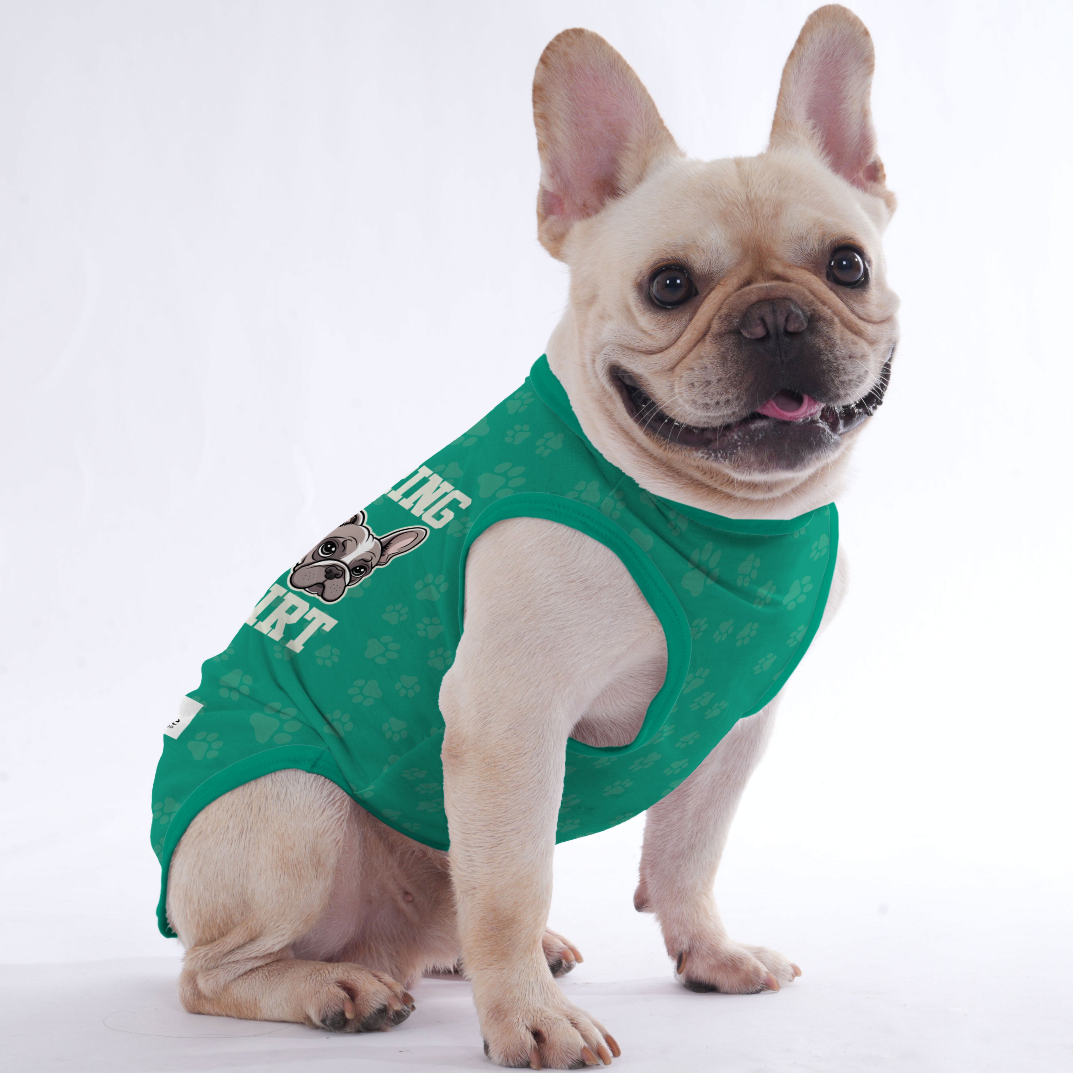 Stylish Albertina - Shirt For Frenchies - Frenchie Shop Original for Dog