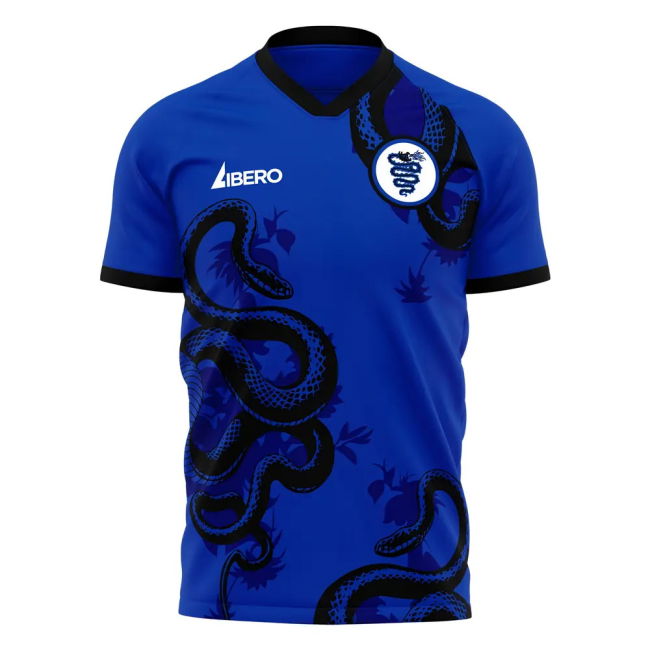 Official Training Jersey Inter 202 #5 Affordable Stylish (v8)