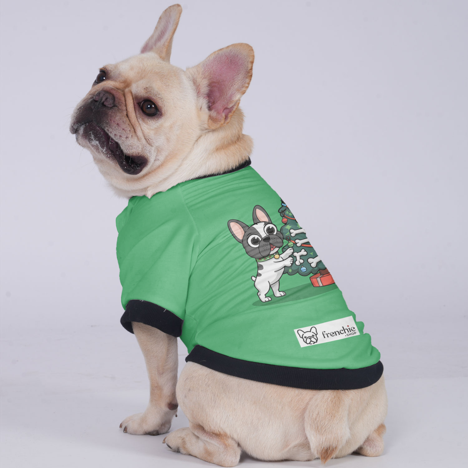 Street-Ready Daisy - Jacket For French Bulldog for Street Style Stylish