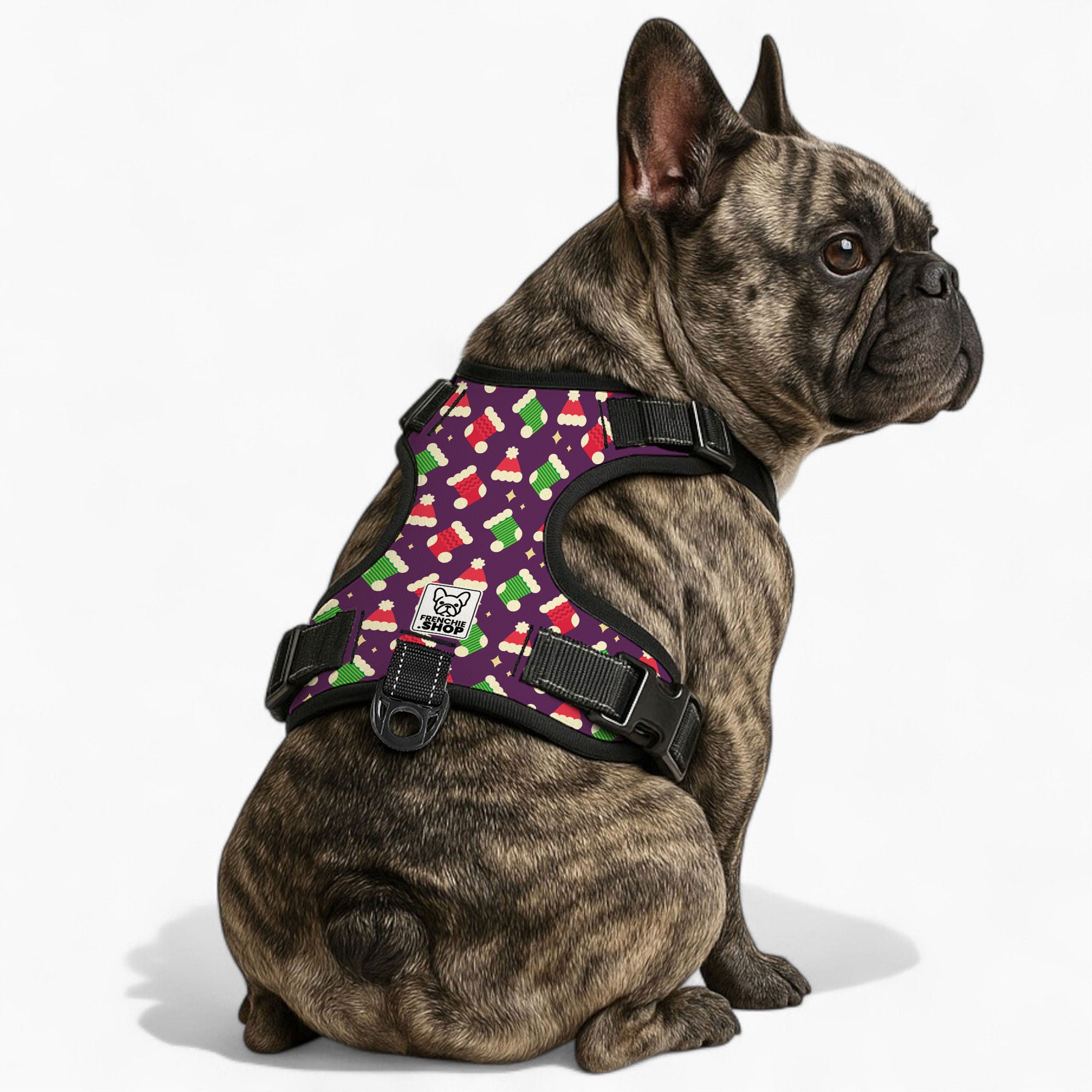 Ace - No-Pull French Bulldog Dog Harness