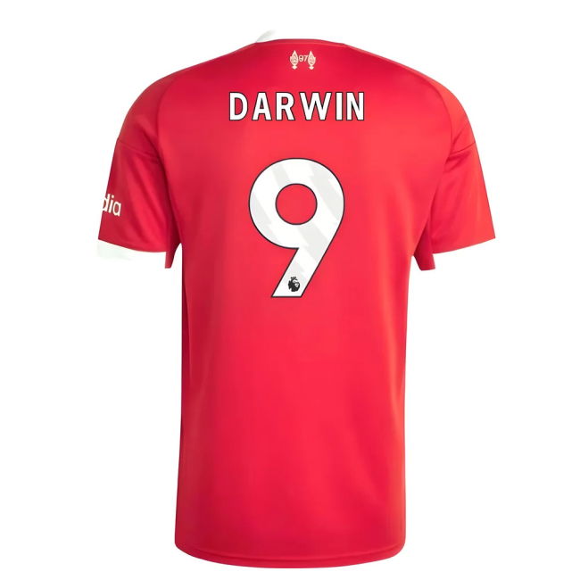 Liverpool 2025-20 Home Football Shirt Darwin (9) L M S