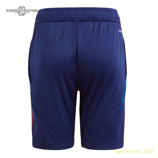 Authentic European Team 2024-2025 Home Short Sleeve Jersey