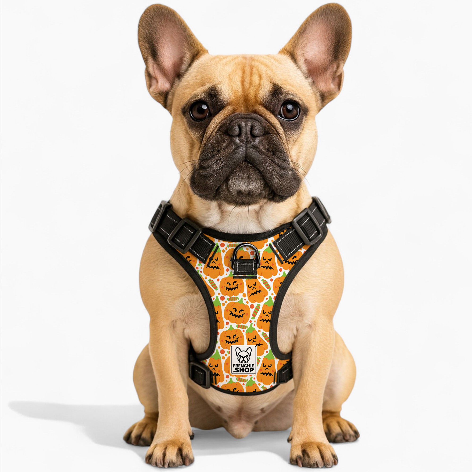 Louie - Bulldog No-pull French Bulldog Dog Harness Outdoor Use