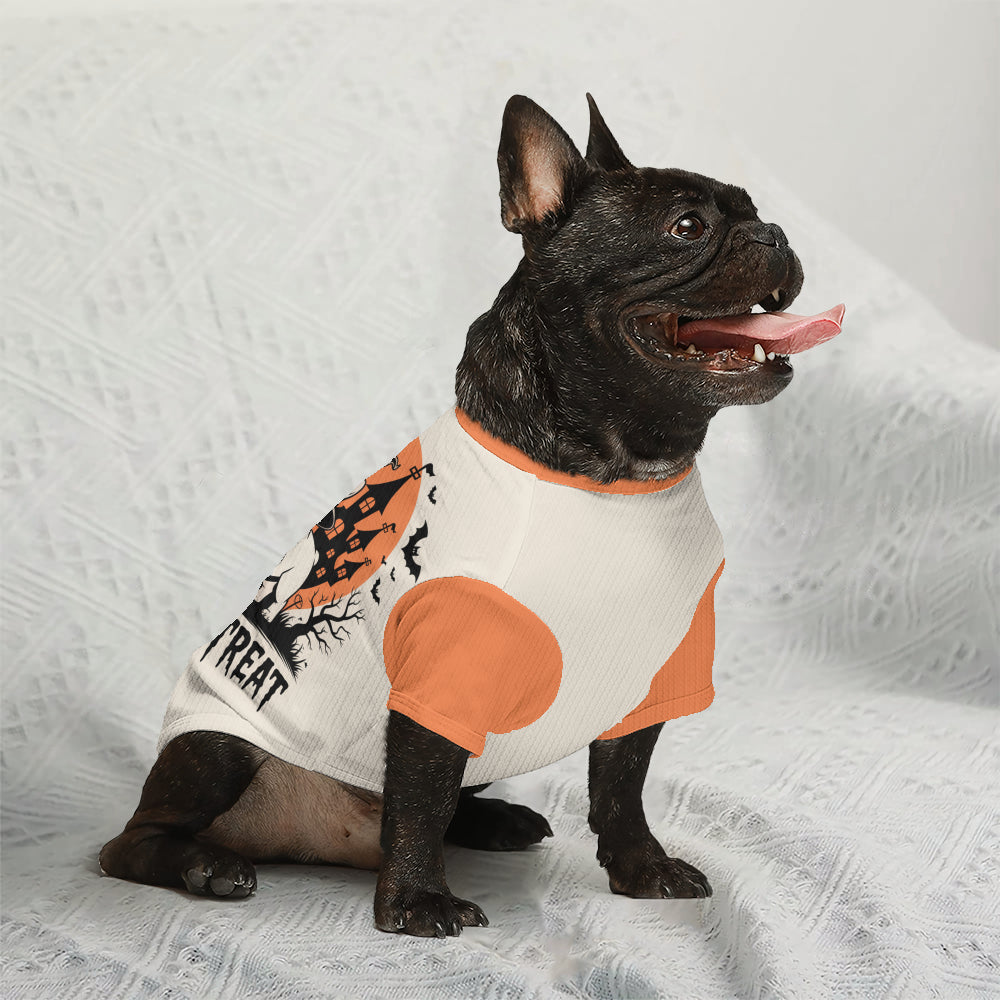 French Bulldog Laura Wool Sweater For Frenchies Soft Pet Apparel