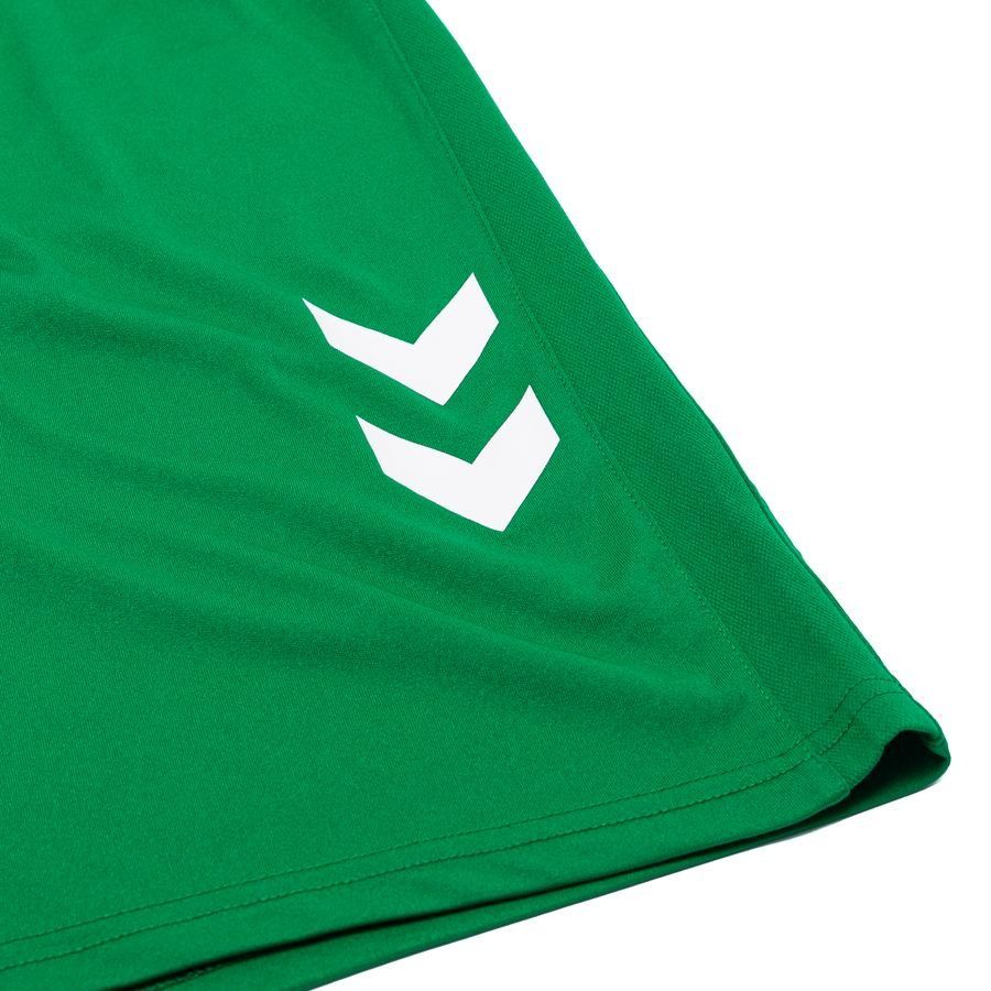 Denmark Goalkeeper Shorts 2024/25 In Multiple Adult Sizes