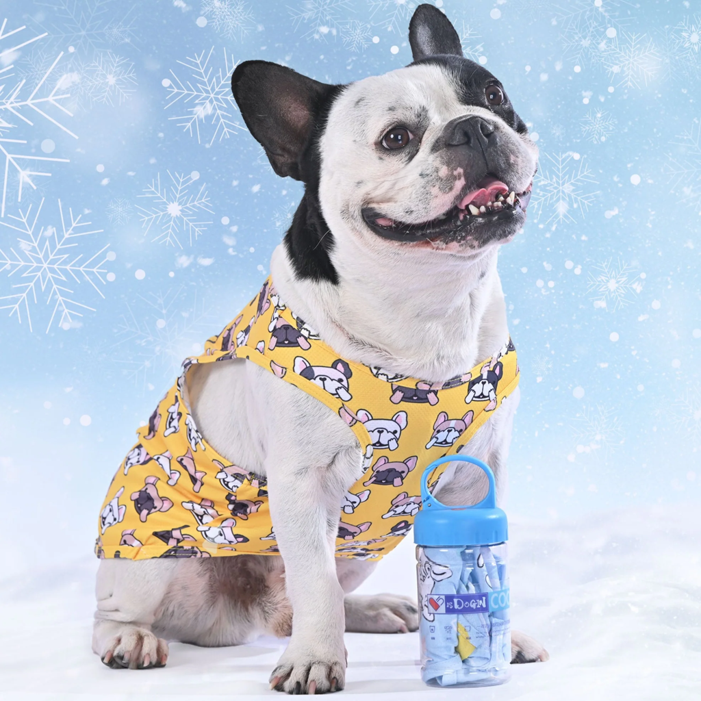 Comfortable Coolify™: Summer Cooling Vest (cs17) for Fashion Lovers