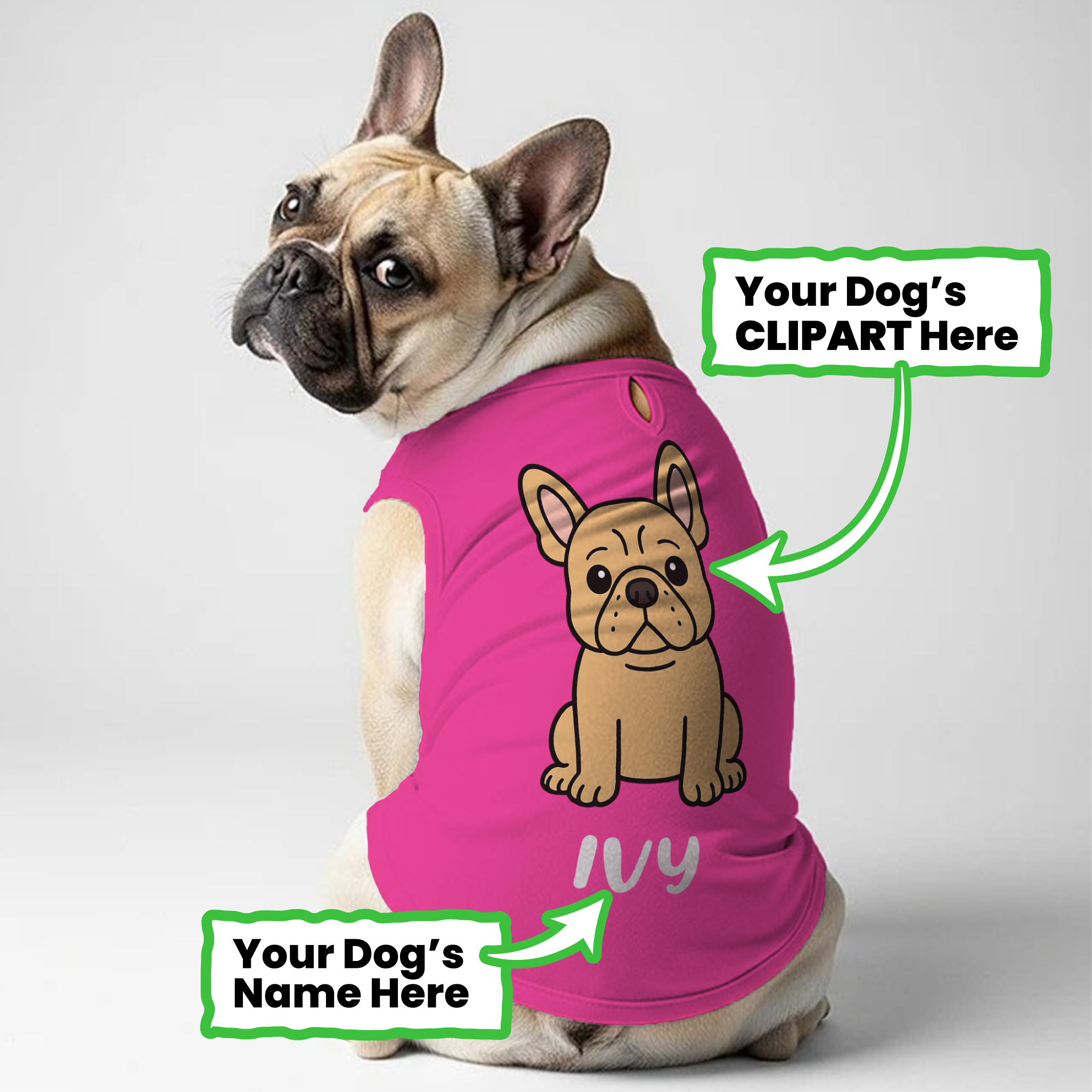 Minimal-Aesthetic Teddy - Personalized Frenchie Shirt | Custom Dog T-...