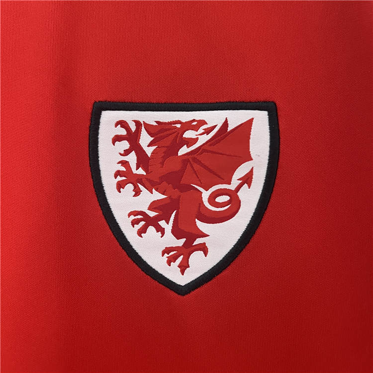Performance Driven UEFA Euro 2024 Wales Football Shirt Home Soccer