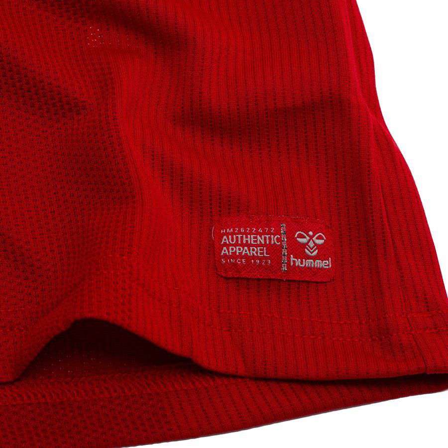 [EFKS] Denmark Pro Player Edition Home Jersey 2026/27