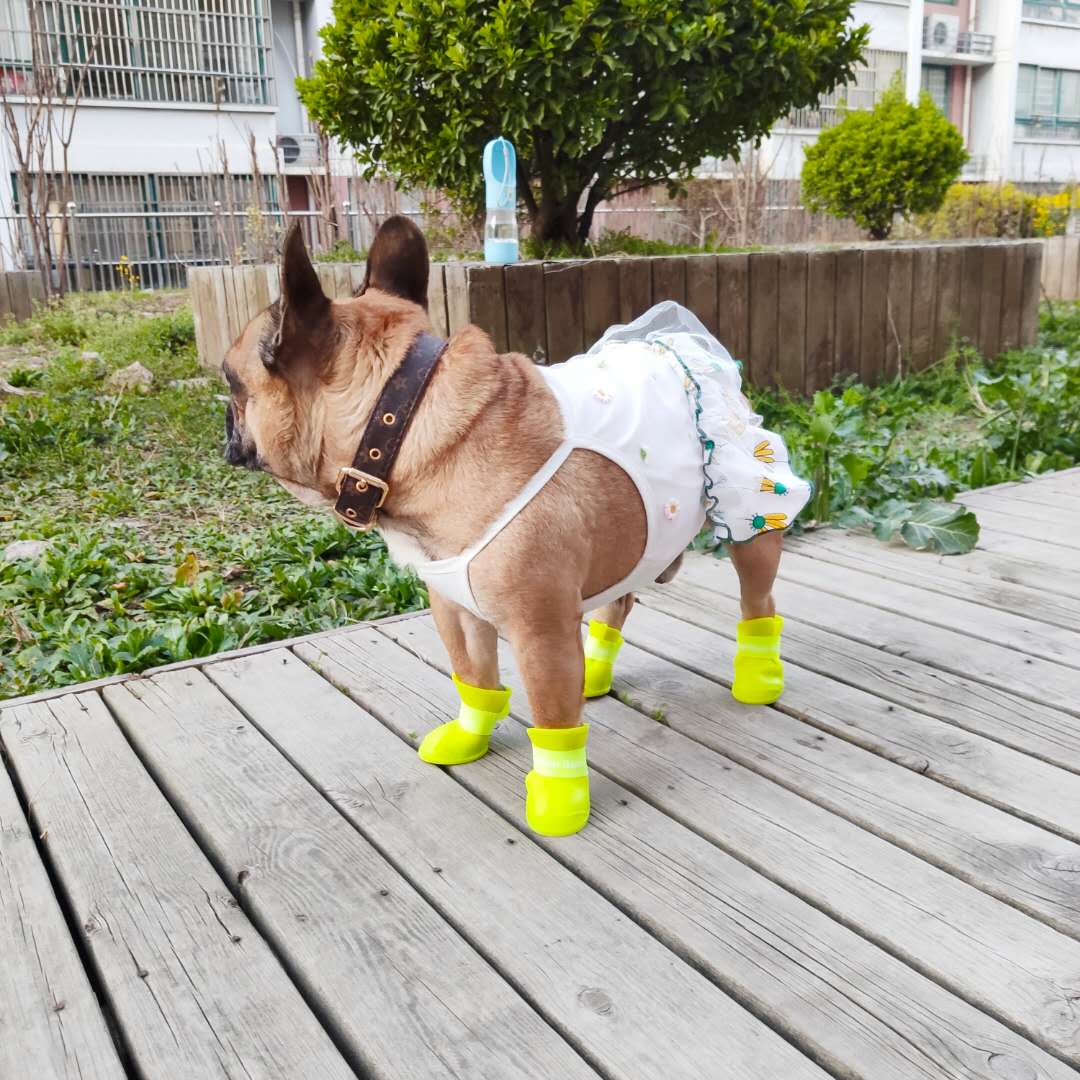 For Frenchies – Non-slip And Protective Summer Wear | Durable Build