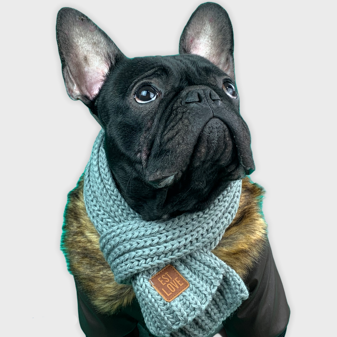 Trendy High-Quality Winter Scarf For French Bulldog for Casual Outings