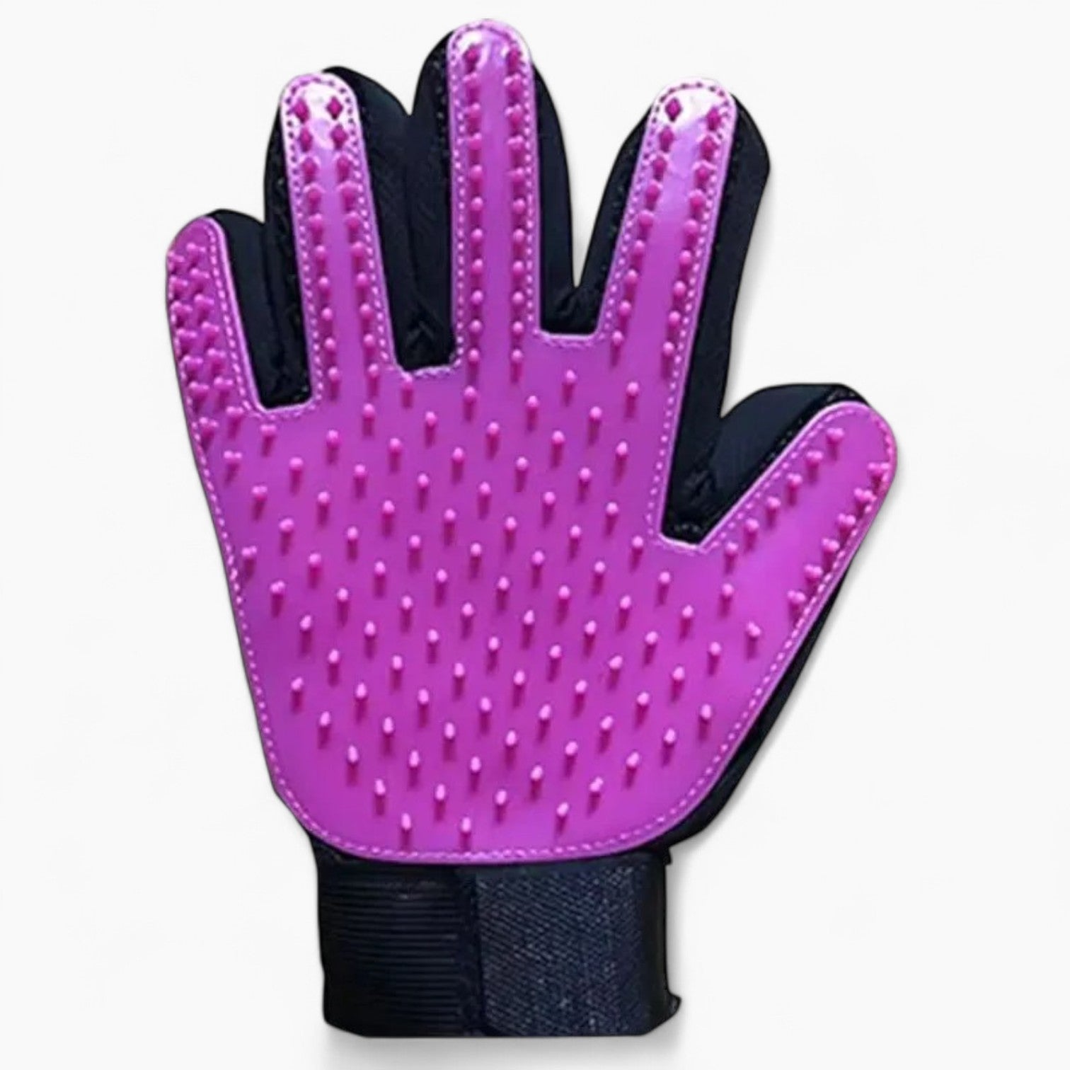 French Bulldog Bullyglove French Bulldog Cleaning Glove – Massage &
