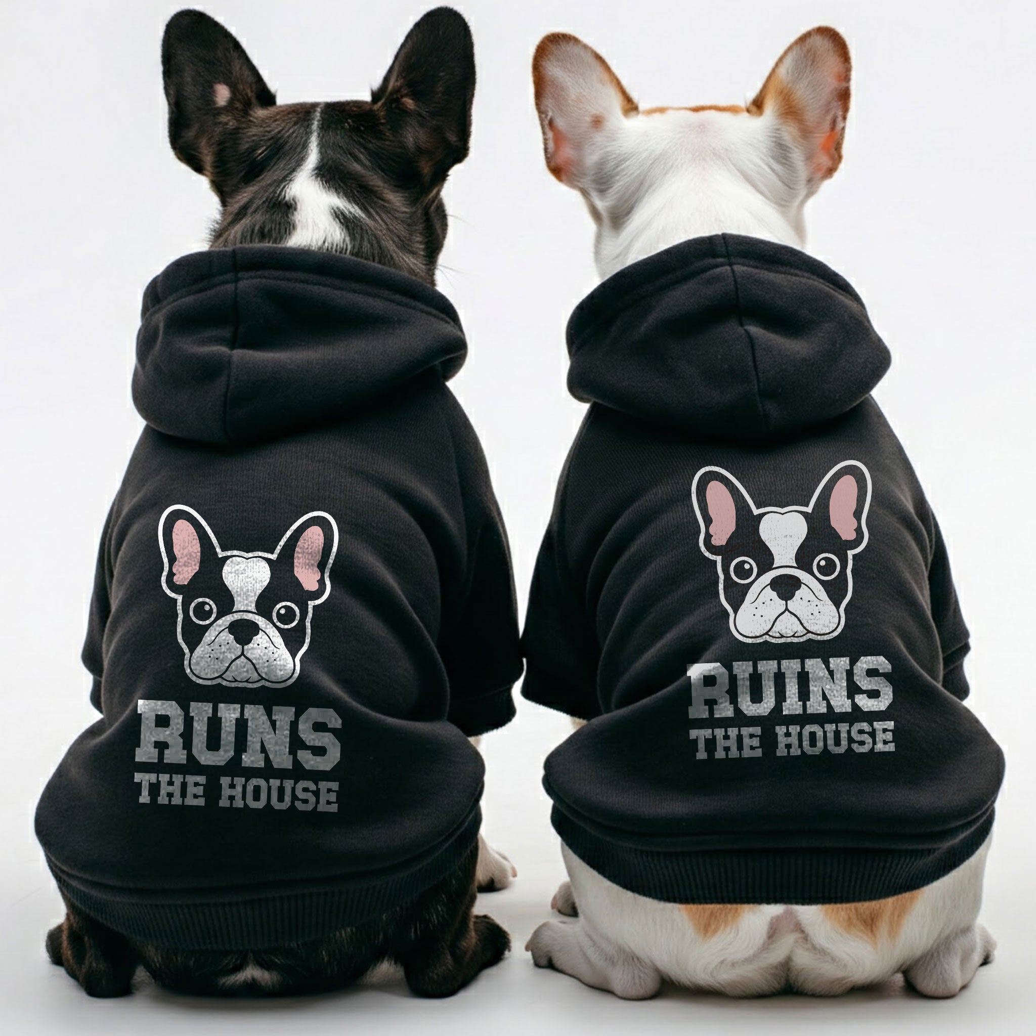 French Bulldog Runs The House And Ruins The House Matching French