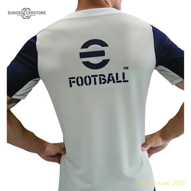 Performance 2025-2026 Inter Milan Training Shirt (Grey)