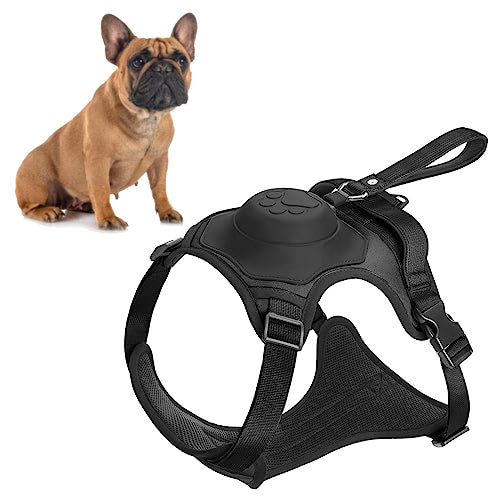 French Bulldog Bulldogbound Frenchie Harness And Retractable Leash Set