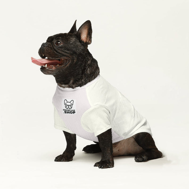 Jawa - Stylish Wool Sweater For Frenchies Indoor Comfort | Stylish Look