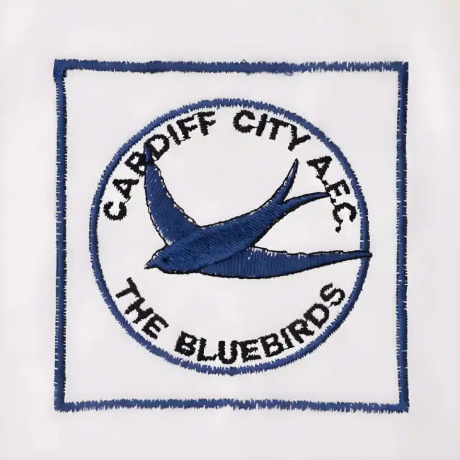 Shrewsbury Town 1980-1981 Retro Football Shirt