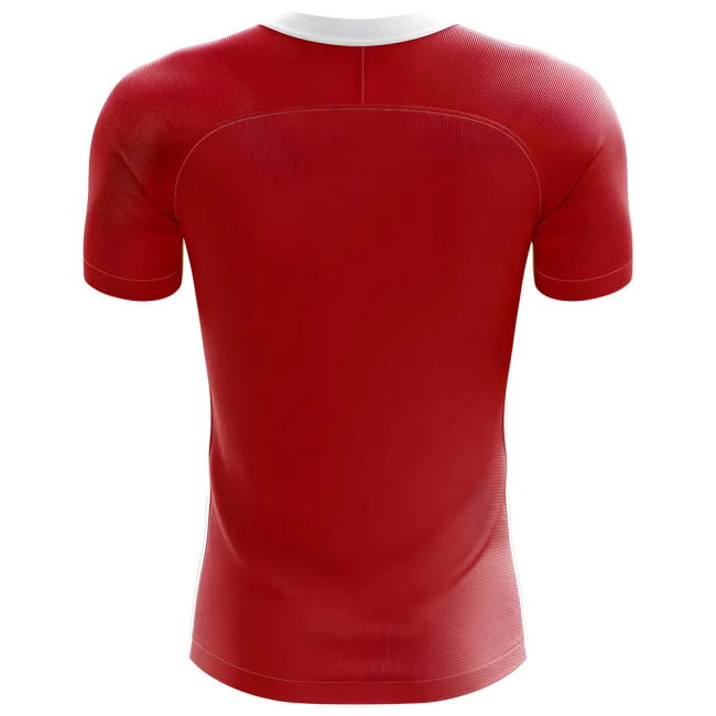 Authentic 2025-2026 Denmark Flag World Breathable Player