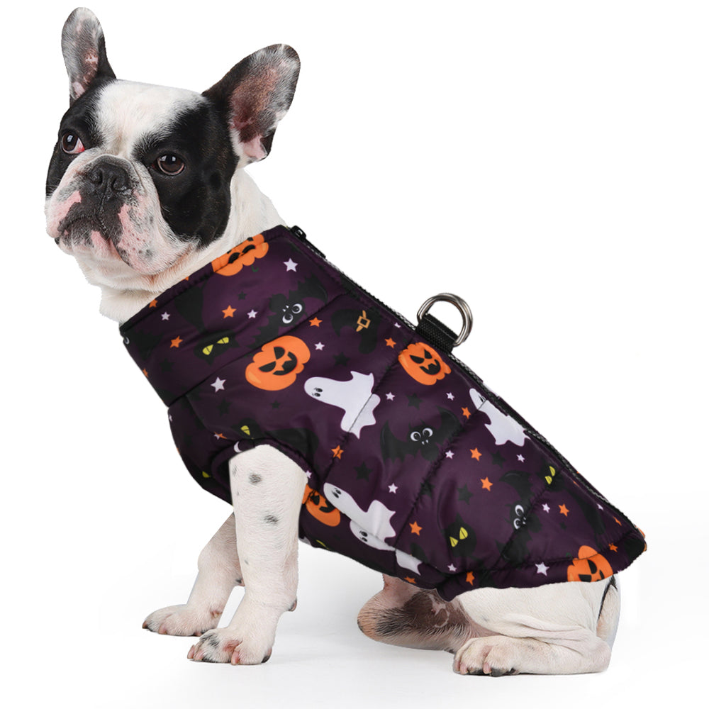 Winter Jacket With Pumpkin Print Cozy And Festive For French Bulldogs