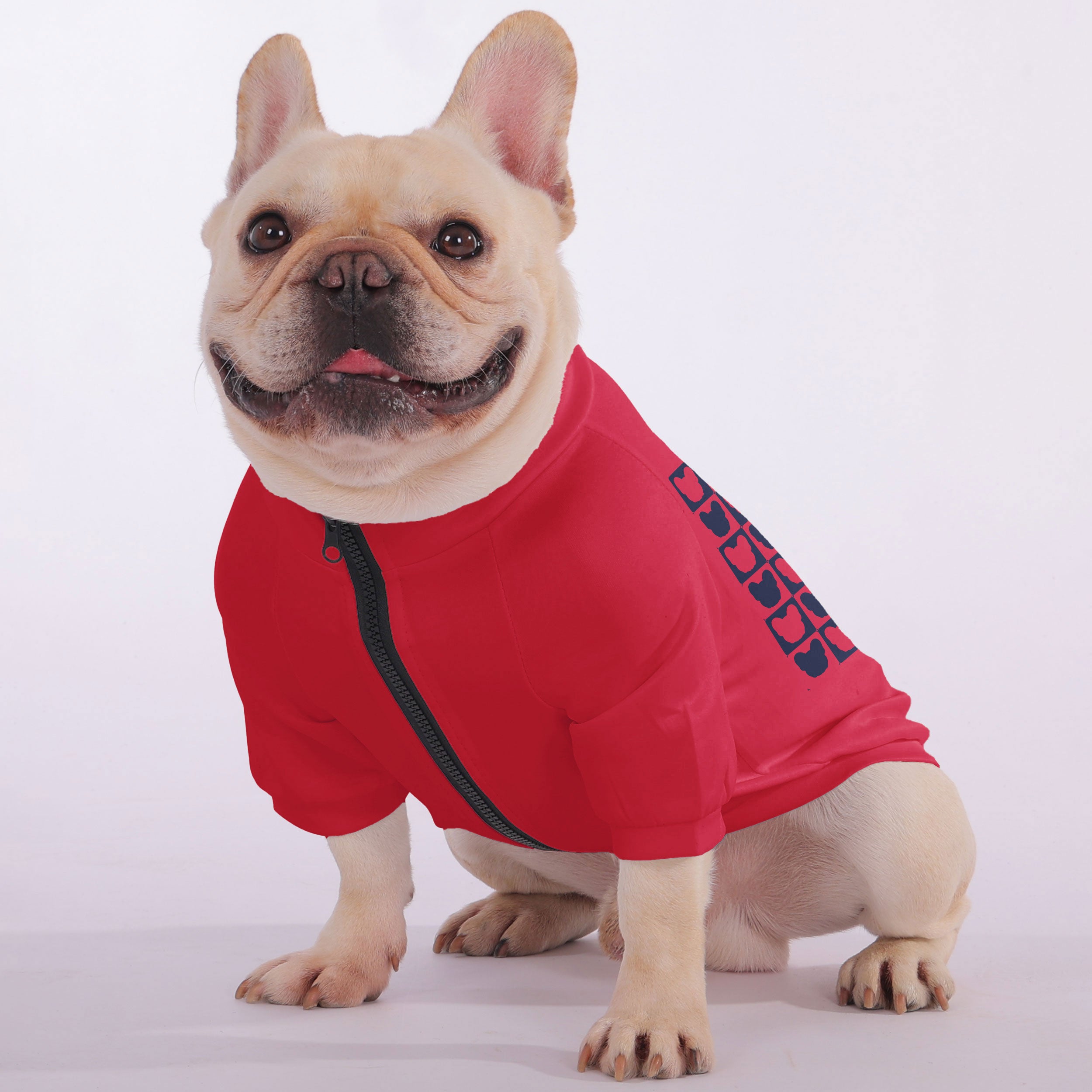 Trendy Teddy - Snuggly Zip-up Sweatshirt For French Bulldogs for French