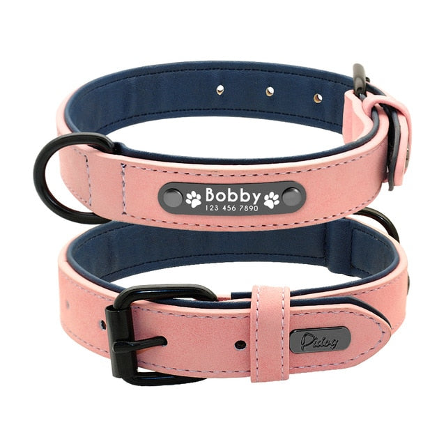 Personalised Collar with Leash