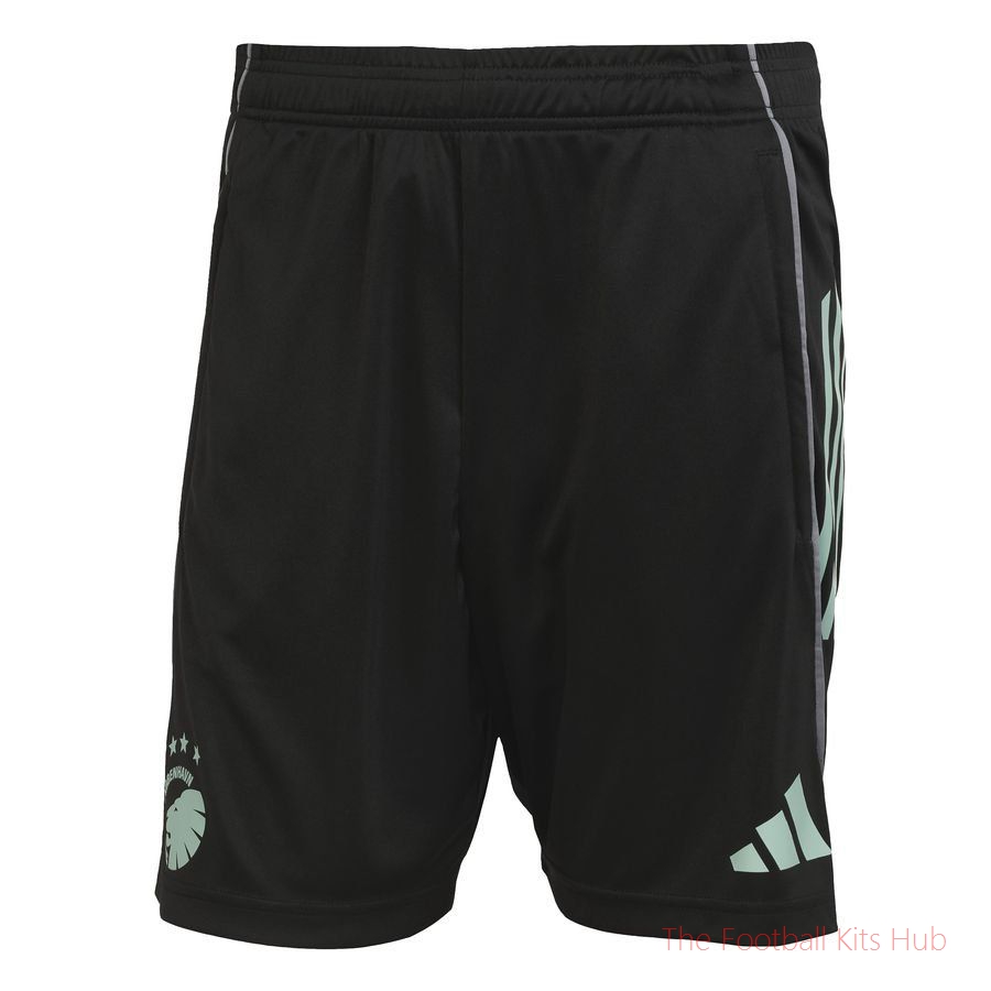 FC Copenhagen Training Shorts Tiro 25 - Black/Onix/st Fade Ocean