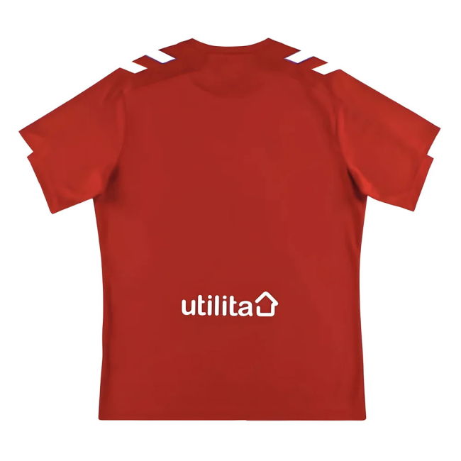 Gers W. Sneijder #10 Affordable Vintage Official Merchandise (v2)