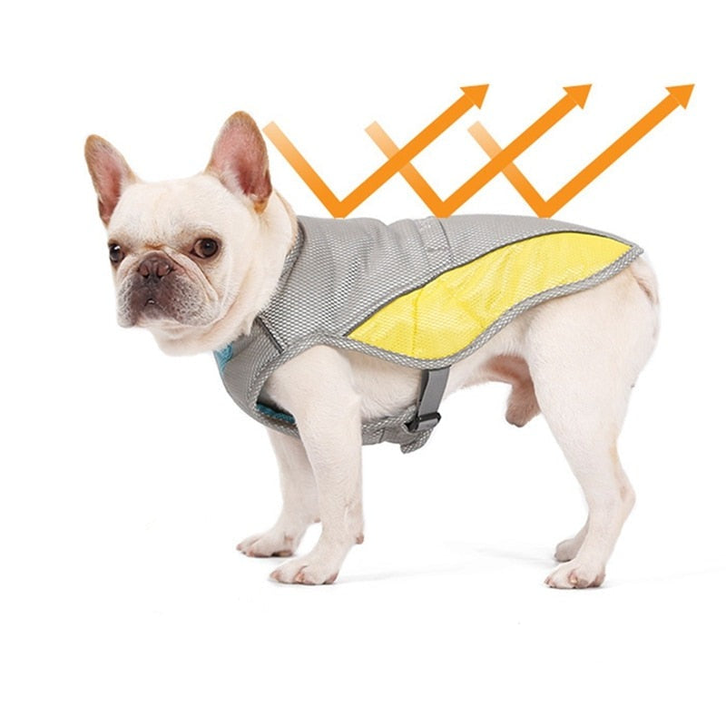 Coolify™ - Safe : Cooling Vest For Frenchie (cs13) Indoor Use
