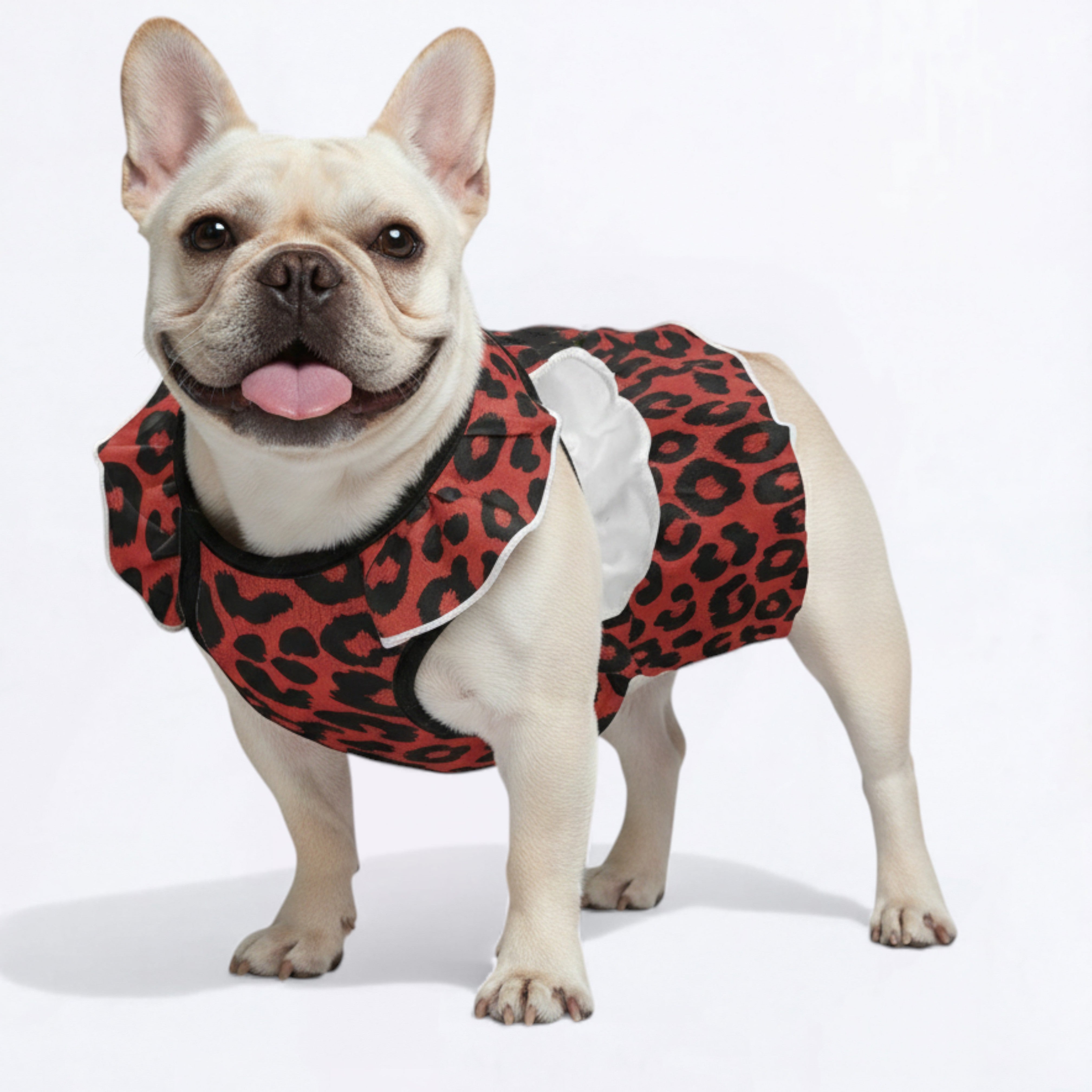 Zoya - Premium Adorable Dress For Frenchie Girls Pet Gear