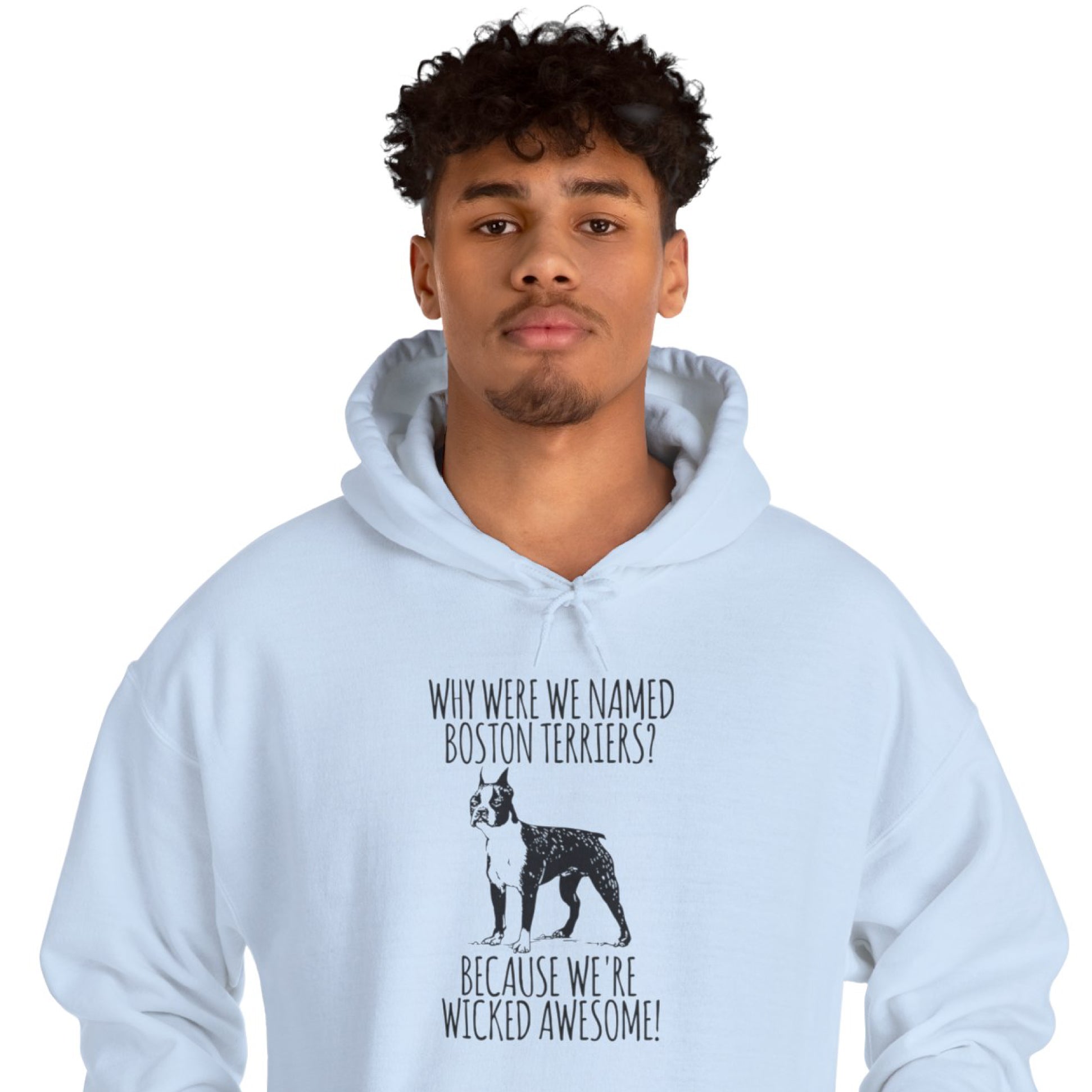 Pet-Lover Vector - Unisex Hoodie For Boston Terrier Lovers for Street