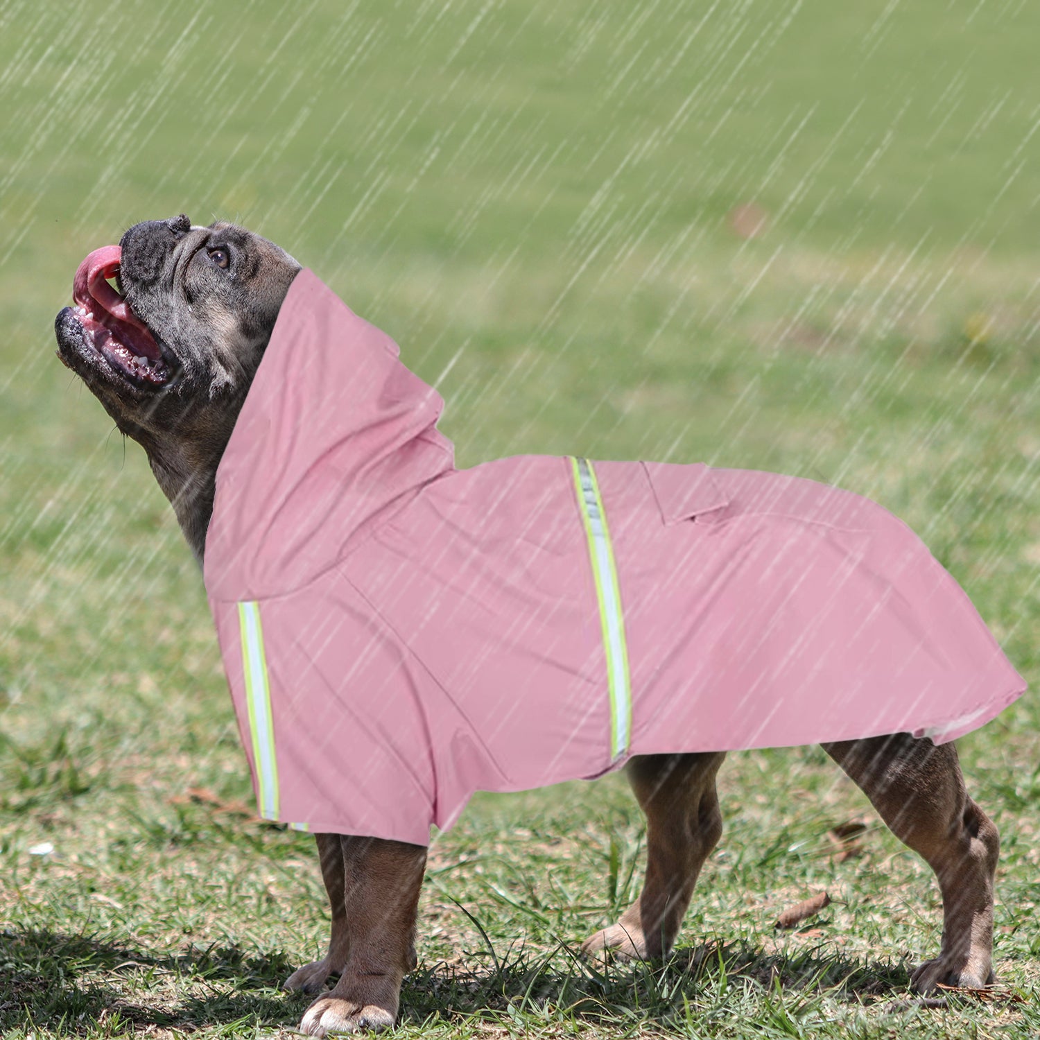 Stormshield - Frenchie Frenchie Rain Jacket Summer Wear