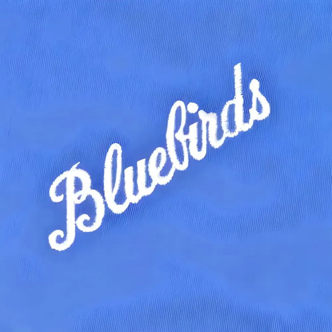 Cardiff City 1960s Bluebird Retro Football Shirt | Performance