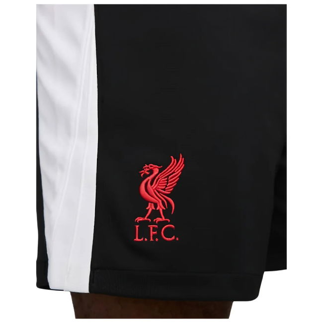 LIV 2024-20 value for money Third Jersey - Adults | genuine