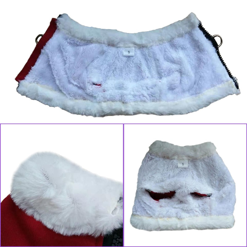 French Bulldog专属 Reflective Harness For Winter (ws304) for Outdoor Use