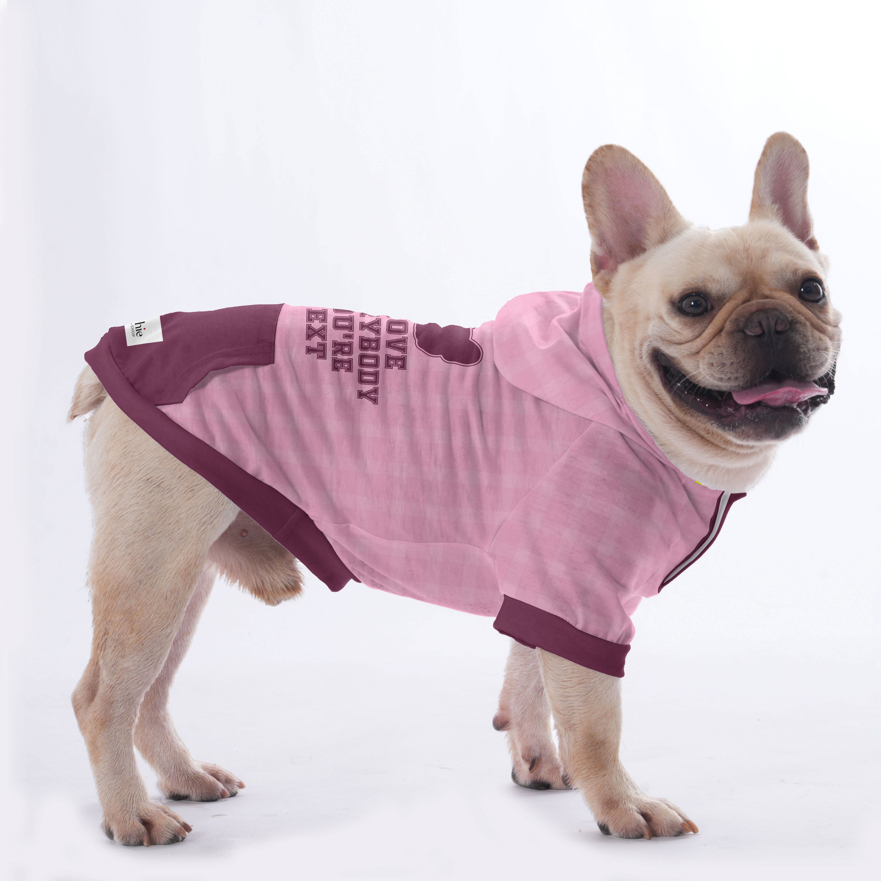 Stylish Ames - Hoodies For French Bulldog | Frenchie Shop Original fo...