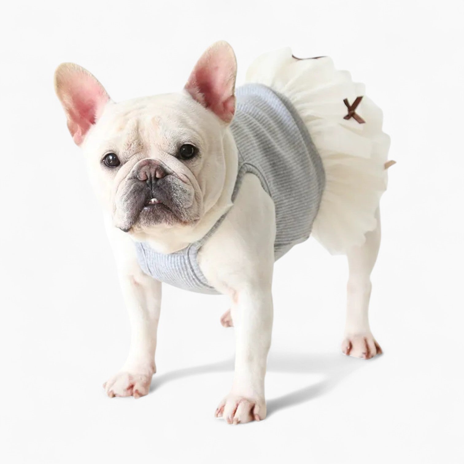Lifestyle-Driven Petstyle Frenchie Princess Dress – Soft Elegant Skir...