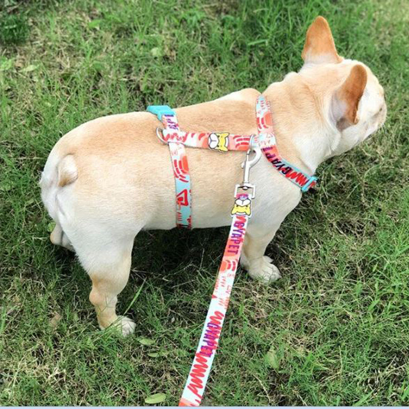 No Pull Fashion Harness And Leash Set (ws0423) Winter Wear | Comfort Fit