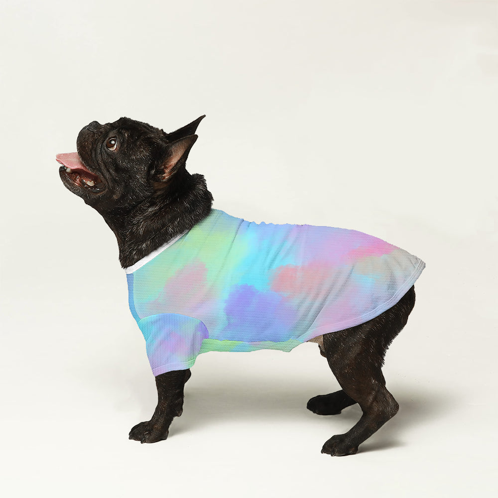 Inspired Wool Sweater For Frenchies Pet Owner Apparel | Trendy Style