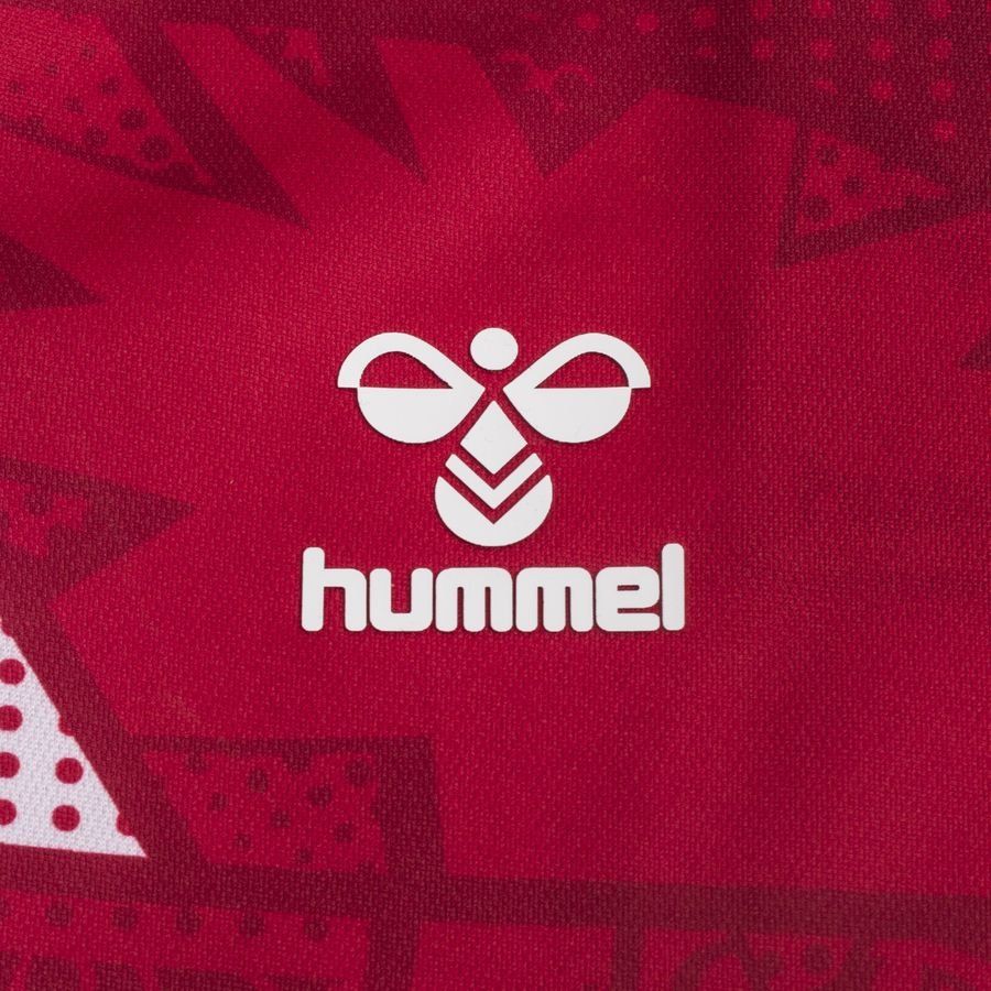 Denmark Home Shirt Women's World Cup 2023 Women Supporter Version