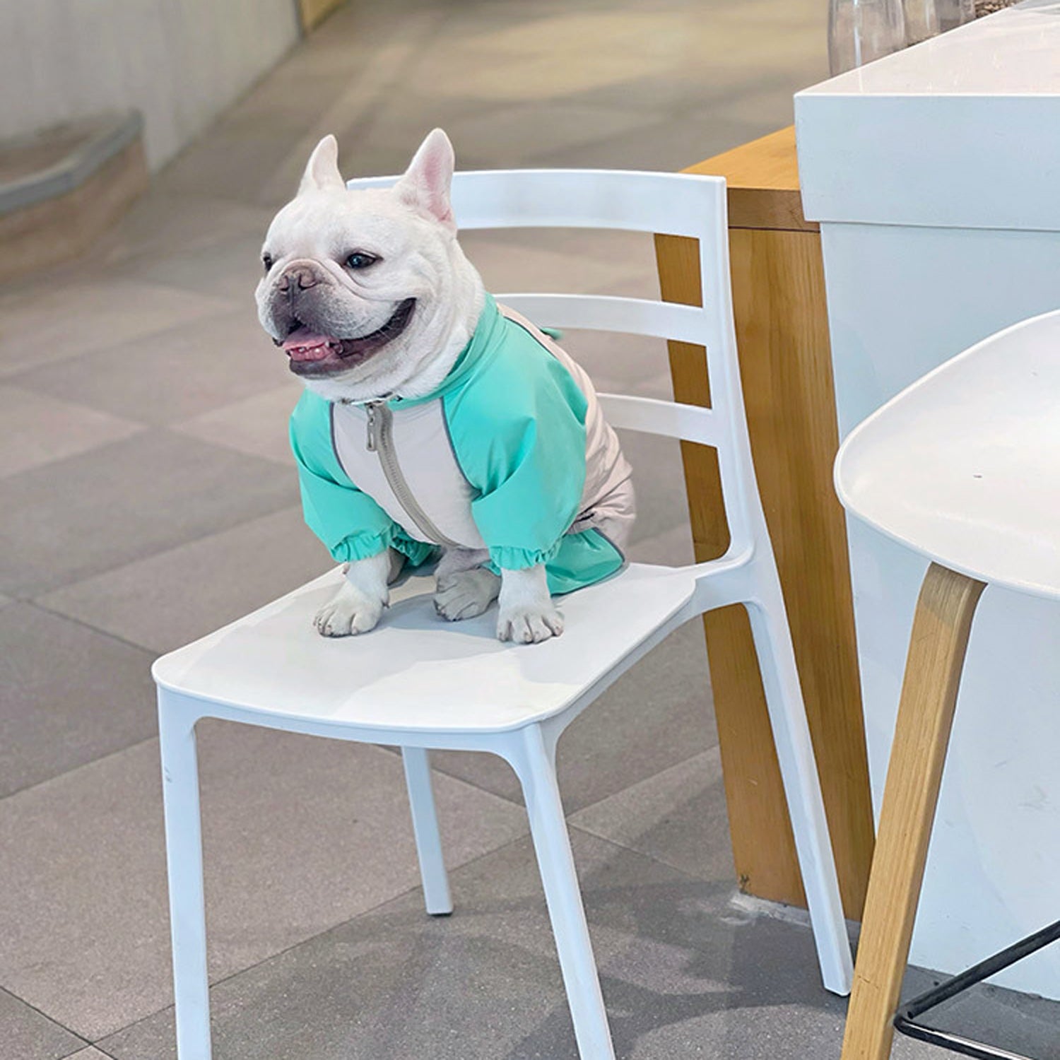 Froglet Frenchie Raincoat – Cute Waterproof Dog Jacket with Hood