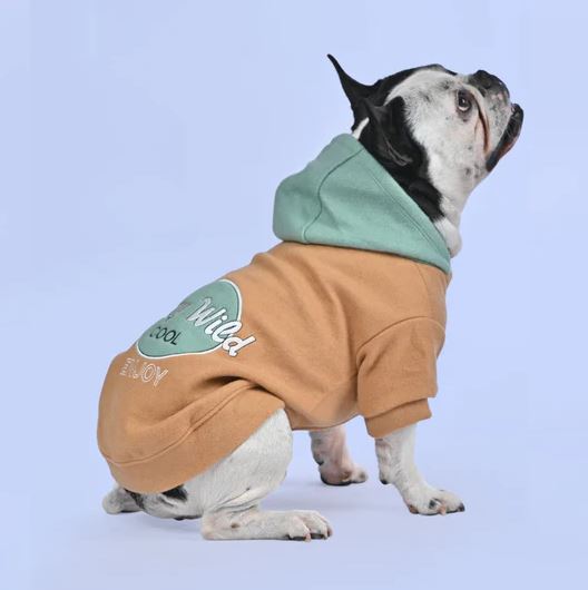 Wintersy™ - Everyday French Bulldog Soft Hoodie (wl03) Pet Owner Apparel