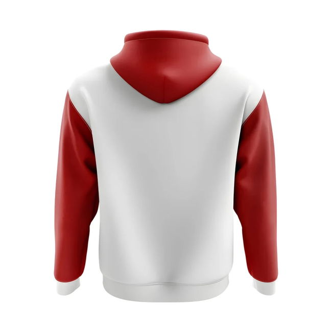 Professional Switzerland Concept Country Football Hoody (White)